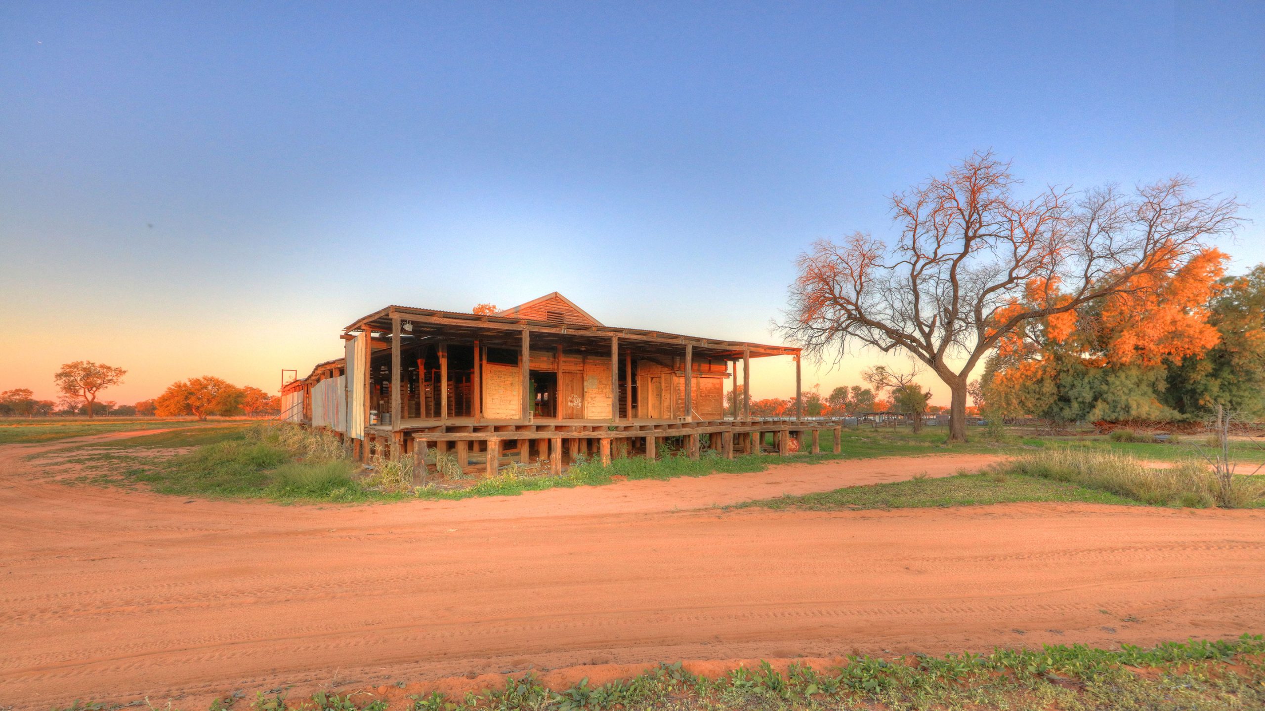 Charlotte Plains Woolshed and Yards